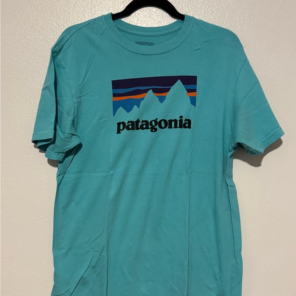 Patagonia Teal Graphic T-Shirt